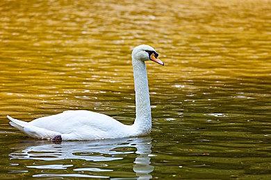 基努里维斯喜欢他扮演的《赛博朋克2077》角色