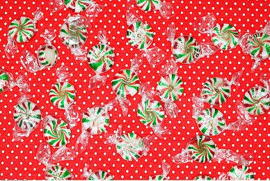 樱井政博谈《星之卡比》新作开发 接活时承认马车更优秀